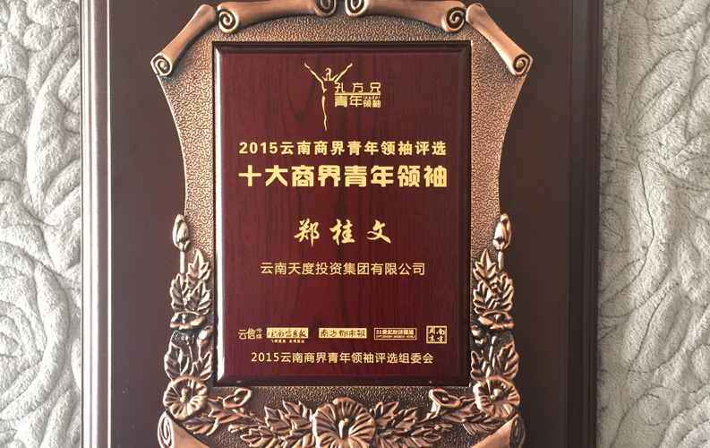 在“互聯(lián)網(wǎng)大時代”的背景下，天度作為本土很大和很有名的互聯(lián)網(wǎng)服務(wù)企業(yè)，為近萬家傳統(tǒng)企業(yè)轉(zhuǎn)型互聯(lián)網(wǎng)+提供了服務(wù)和幫助，獲此獎項(xiàng)后，我們將再接再厲，創(chuàng)造更高的社會價值